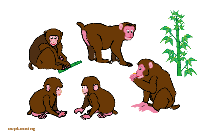 申のイラスト年賀状テンプレート