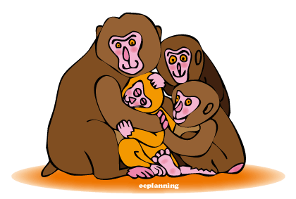 申のイラスト年賀状テンプレート