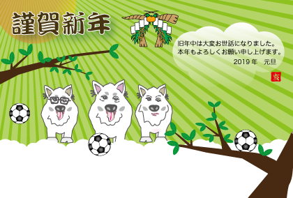 サッカー・フットボールの亥年の猪イノシシの年賀状218戌年