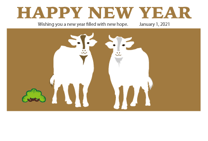 2021丑年の牛のイラスト年賀状素材