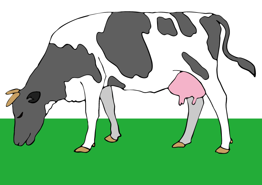 2021丑年のウシのイラスト年賀状素材