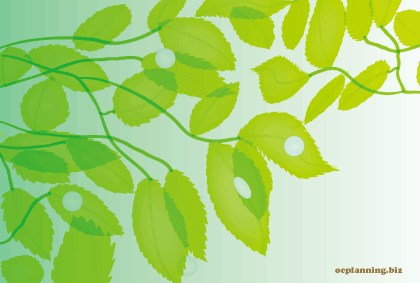 �����C���摜