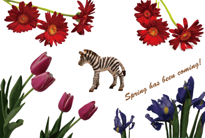 ���C���摜